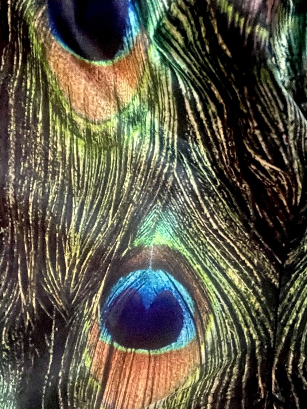 BlackMilk peacock feather print leggings M & rhinestone tank top M - Picture 4 of 11